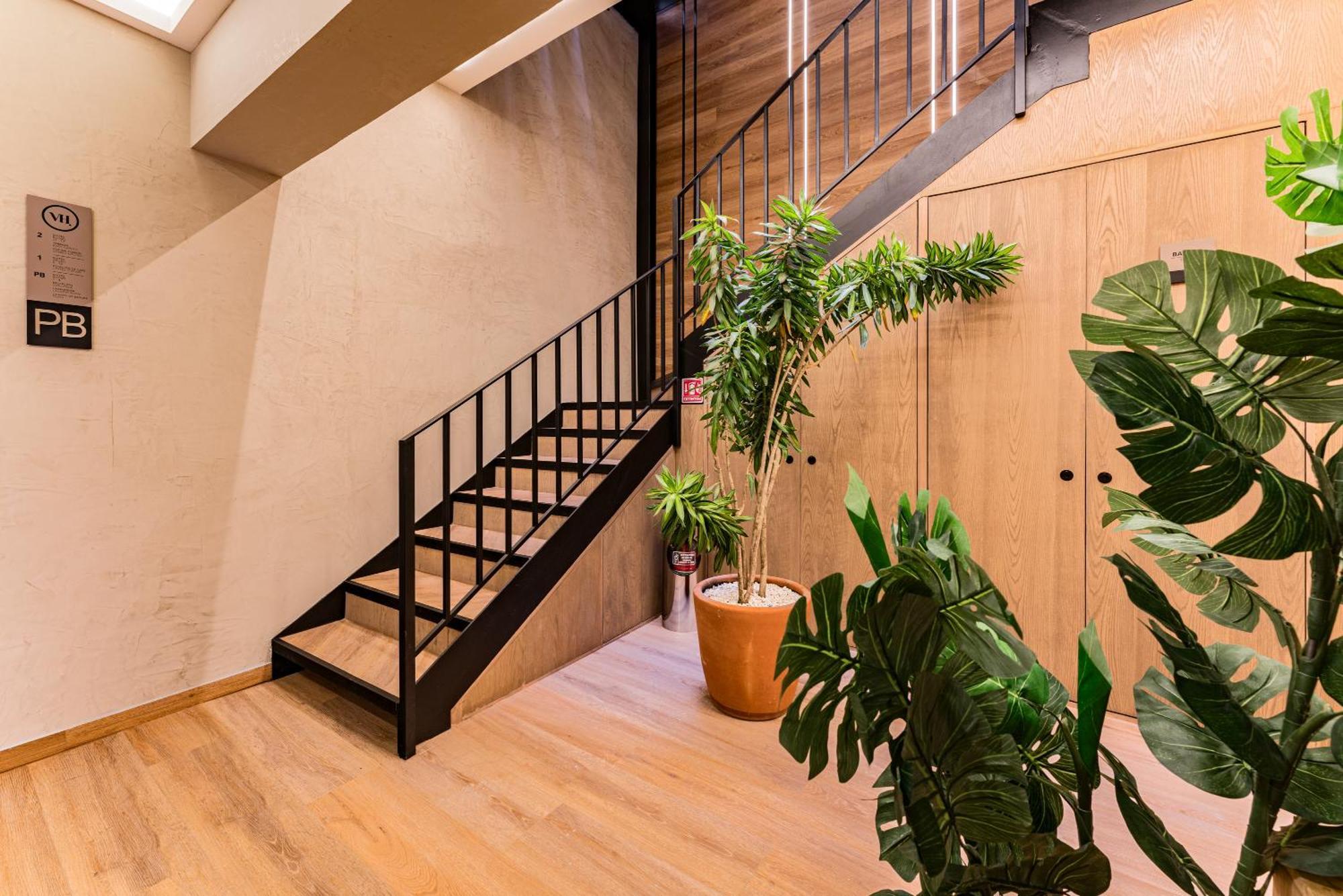 The Boutique Suites 187 By Vh Mexico City Luaran gambar